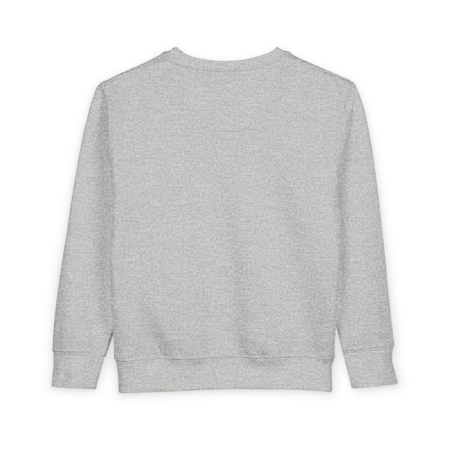 Toddler Sweatshirt - "I Survived 67+33 Days of School" Cute End-of-Year Kids Sweatshirt