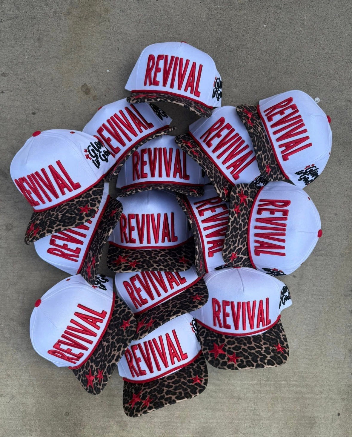 Revival & Motherhood is my Ministry Pre-Order (Closing 2/26)